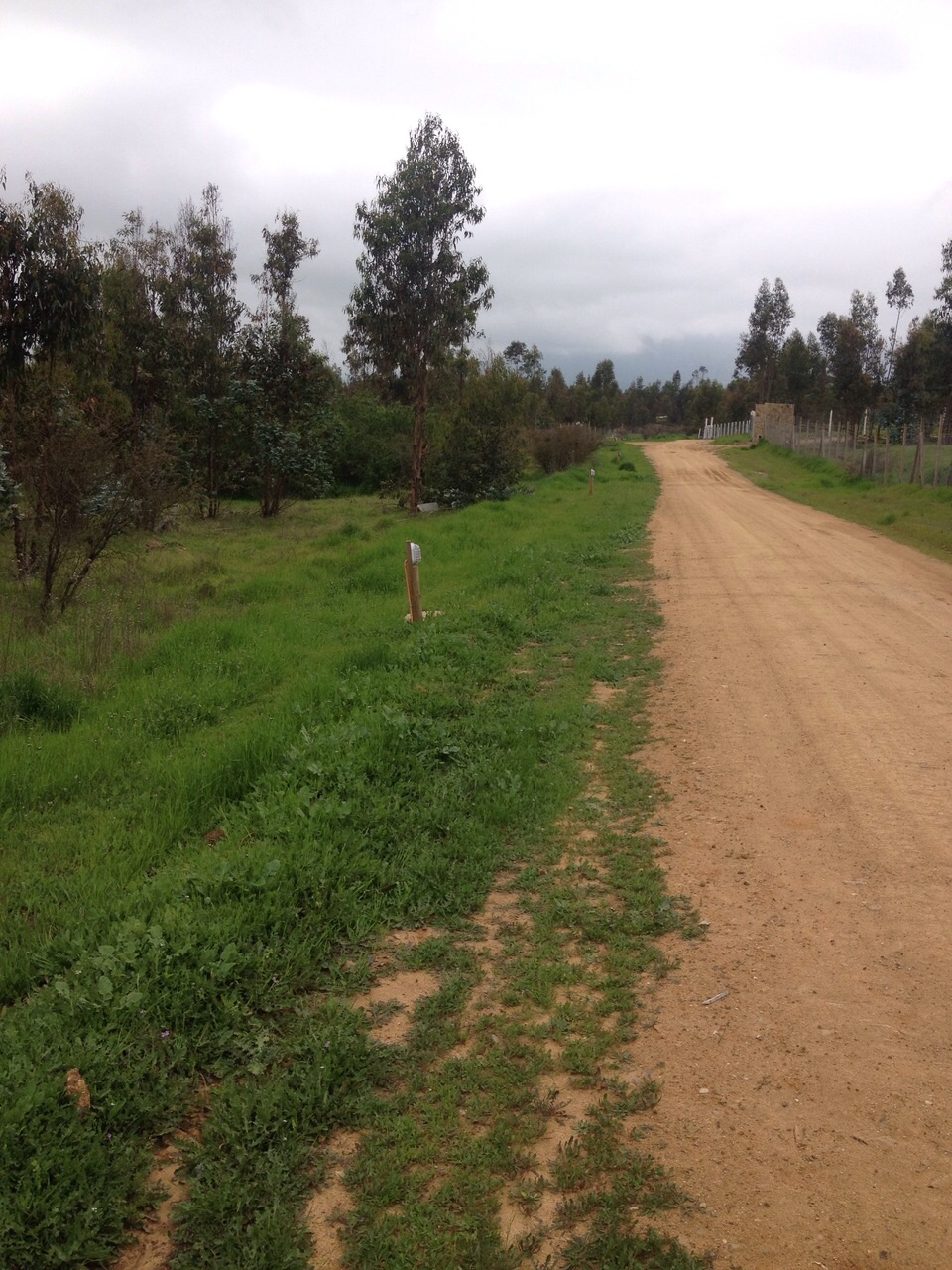 Parcela en Condominio Foresta de Zapallar